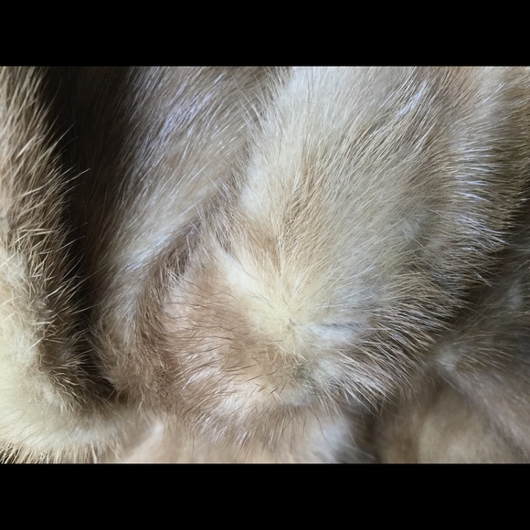 Vintage Femington Furs Beautiful Fur Coat - Picture 16 of 16